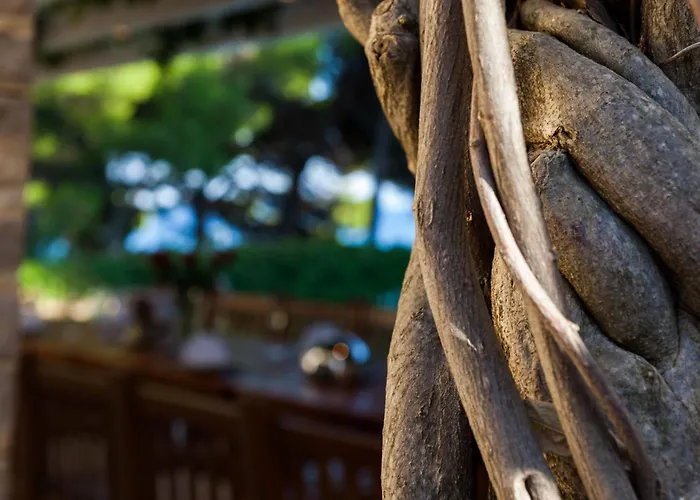 Willa Illustrious Brac 6 Bedrooms Waterfront Private Pool *